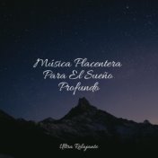 Música Placentera Para El Sueño Profundo