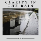 Clarity in the Rain