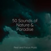 50 Sounds of Nature & Paradise