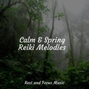 Calm & Spring Reiki Melodies