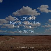 50 Sonidos Reconfortantes Para Dormir y Relajarse