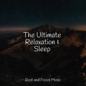 The Ultimate Relaxation & Sleep