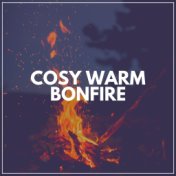 Cosy Warm Bonfire