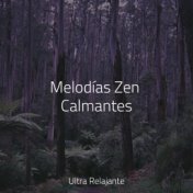 Melodías Zen Calmantes