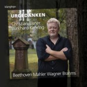 Johannes Brahms: O Tod, wie bitter bist du (Vier ernste Gesänge)