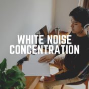 White Noise Concentration