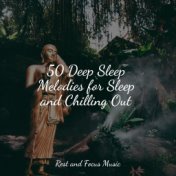 50 Deep Sleep Melodies for Sleep and Chilling Out