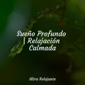 Sueño Profundo | Relajación Calmada