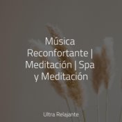 Música Reconfortante | Meditación | Spa y Meditación