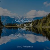 Colección Spring 50 Chillout