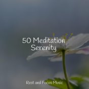 50 Meditation Serenity