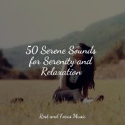 50 Serene Sounds for Serenity and Relaxation