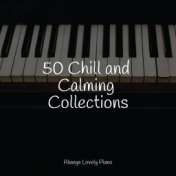 50 Chill and Calming Collections