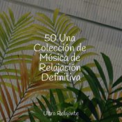 50 Una Colección de Música de Relajación Definitiva