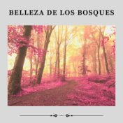 Belleza de los Bosques