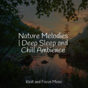 Nature Melodies | Deep Sleep and Chill Ambience