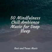50 Mindfulness Chill Ambience Music for Deep Sleep