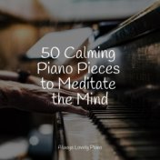 50 Calming Piano Pieces to Meditate the Mind