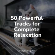 50 Powerful Tracks for Complete Relaxation