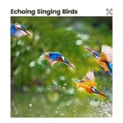 Echoing Singing Birds