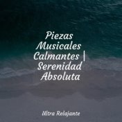 Piezas Musicales Calmantes | Serenidad Absoluta