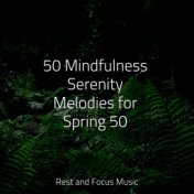 50 Mindfulness Serenity Melodies for Spring 50
