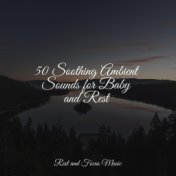 50 Soothing Ambient Sounds for Baby and Rest