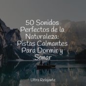 50 Sonidos Perfectos de la Naturaleza: Pistas Calmantes Para Dormir y Sanar