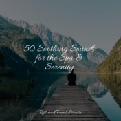 50 Soothing Sounds for the Spa & Serenity