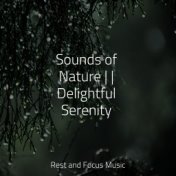 Sounds of Nature | | Delightful Serenity