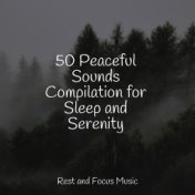 50 Peaceful Sounds Compilation for Sleep and Serenity