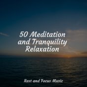 50 Meditation and Tranquility Relaxation