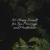 50 Sleepy Sounds for Zen Massage and Meditation