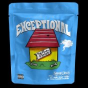 Exceptional (feat. Snoop Dogg)