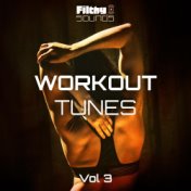 Workout Tunes, Vol. 3