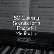 50 Calming Sounds for a Peaceful Meditation