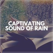 Captivating Sound of Rain