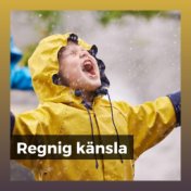 Regnig känsla