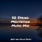 50 Spring Meditation Music Mix