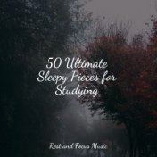 50 Ultimate Sleepy Pieces for Studying