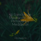 50 Sonidos de Meditación de Primavera y Meditación