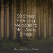 50 Stress Relieving Melodies to Melt Away Stress