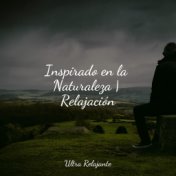 Inspirado en la Naturaleza | Relajación