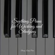 Soothing Piano for Working and Studying