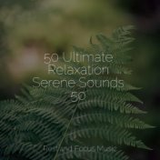 50 Ultimate Relaxation Serene Sounds 50