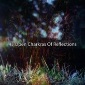 43 Open Charkras Of Reflections