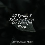 50 Spring & Relaxing Songs for Peaceful Sleep