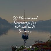 50 Phenomenal Recordings for Relaxation & Serenity