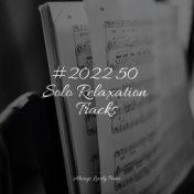 #2022 50 Solo Relaxation Tracks