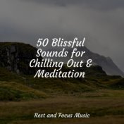 50 Blissful Sounds for Chilling Out & Meditation